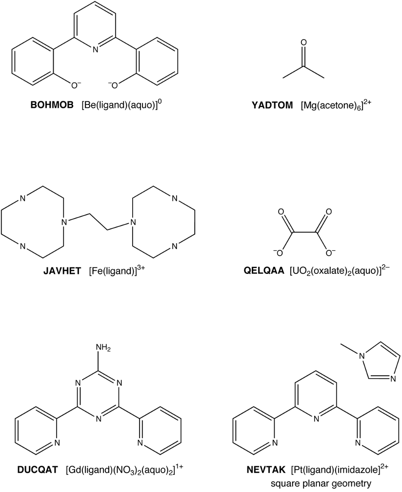 Metal Complexes 1